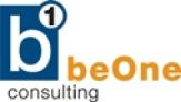 b1 consulting