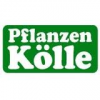 Pflanzen Kölle