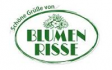 Blumen Risse GmbH & Co. Kommanditgesellschaft