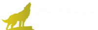 Genesis Import GmbH