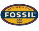 Fossil