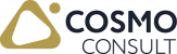 COSMO CONSULT GmbH