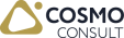 COSMO CONSULT GmbH