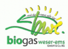 bwe Energiesysteme GmbH & Co. KG