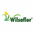 Wilsaflor GmbH & Co. KG